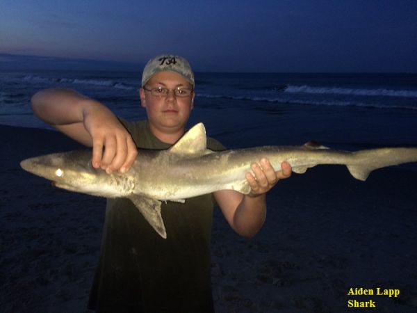 TW’s Bait & Tackle, TW's Daily Fishing Report. 6/30/15