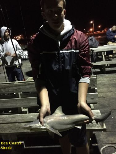 TW’s Bait & Tackle, TW's Daily Fsihing Report. 10/13/15