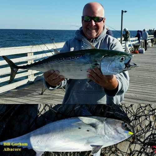TW’s Bait & Tackle, TW's Daily fishing Report. 10/29/15