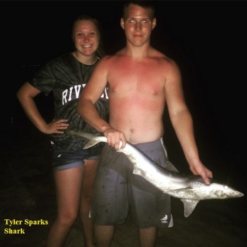TW’s Bait & Tackle, TW's Daily Fishing Report. 7/8/15