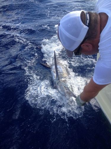 TW’s Bait & Tackle, TW's Daily Fishing Report. 10/27/15