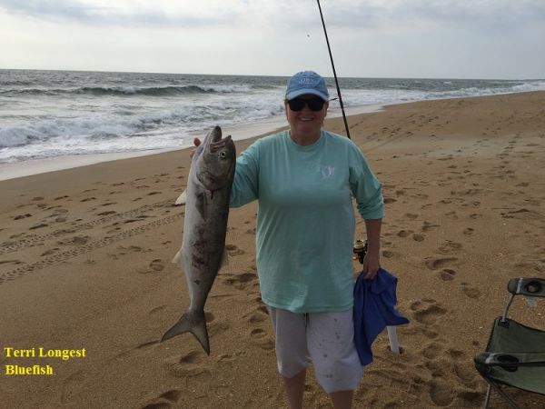 TW’s Bait & Tackle, TW's Daily Fishing Report. 5/22/15