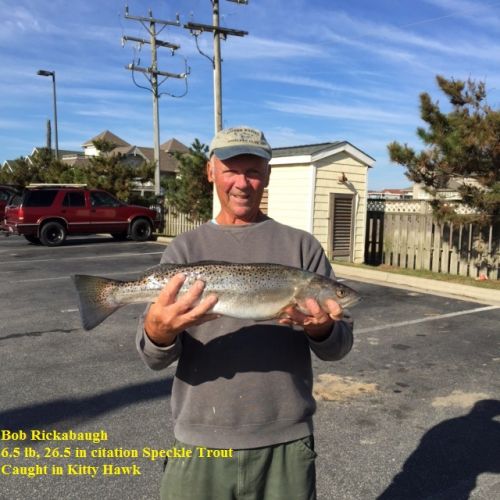 TW’s Bait & Tackle, TW's Daily Fishing Report. 11/14/15