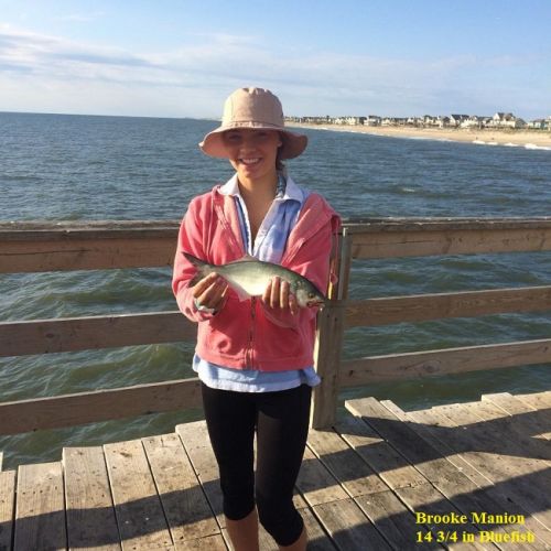 TW’s Bait & Tackle, TW's Daily fishing Report. 10/19/15