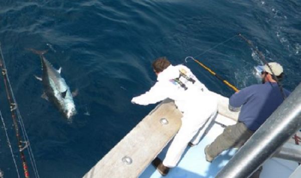 TW’s Bait & Tackle, TW's Daily Fishing Report. 12/10/15
