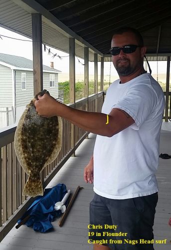 TW’s Bait & Tackle, TW's Daily fishing Report. 8/9/15