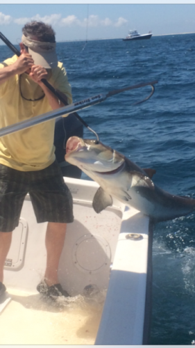 TW’s Bait & Tackle, TW's Daily Fishing Report- 03/13/2015