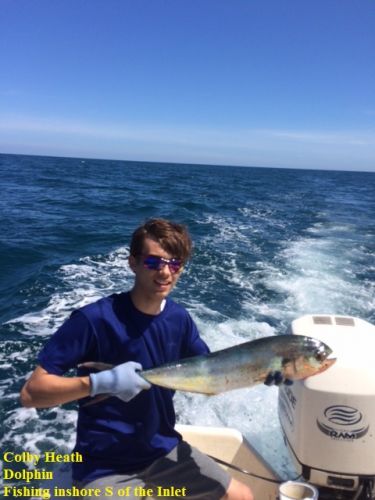TW’s Bait & Tackle, TW's Daily Fishing Report, 6/13/15