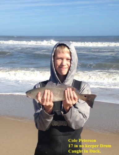 TW’s Bait & Tackle, TW's Daily Fishing Report. 11/29/15