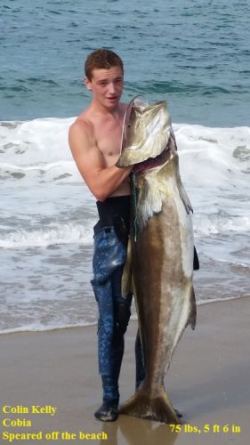 TW’s Bait & Tackle, TW's Daily Fishing Report. 7/11/15