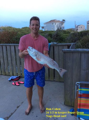 TW’s Bait & Tackle, TW's Daily fishing Report. 8/18/15