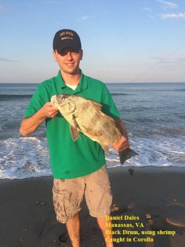 TW’s Bait & Tackle, TW's Daily Fishing Report. 5/19/15