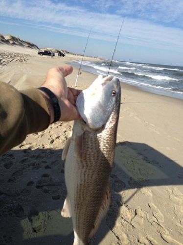 TW’s Bait & Tackle, TW's Daily Fishing Report. 2/22/15