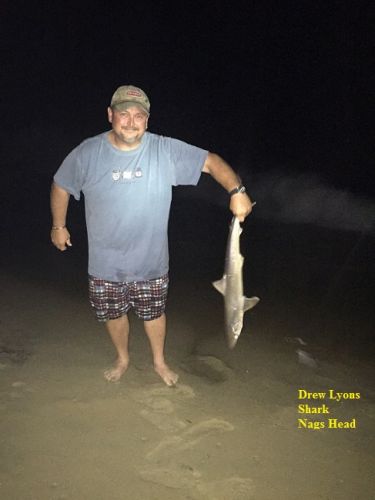 TW’s Bait & Tackle, TW's Daily Fishing Report. 7/5/15