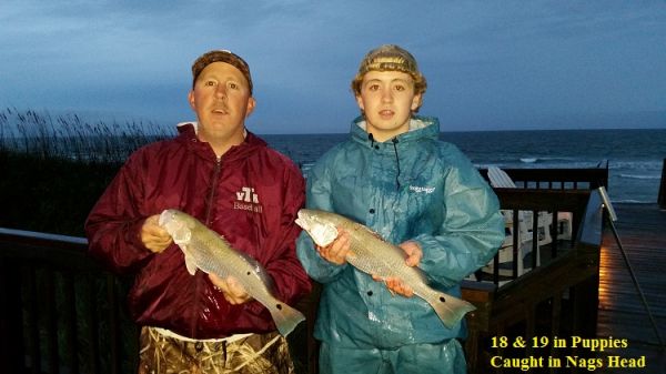 TW’s Bait & Tackle, TW's Daily Fishing Report. 11/3/15