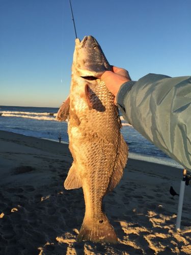 TW’s Bait & Tackle, TW's Daily Fishing Report. 1/19/15