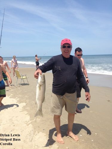 TW’s Bait & Tackle, TW's Daily Fishing Report. 5/26/15