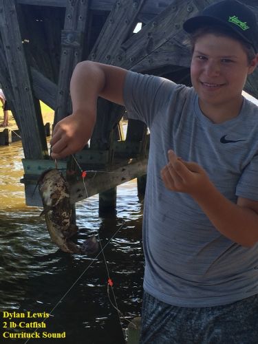 TW’s Bait & Tackle, TW's Daily Fishing Report. 5/28/15