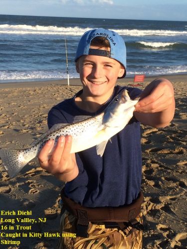 TW’s Bait & Tackle, TW's Daily Fishing Report. 11/2715