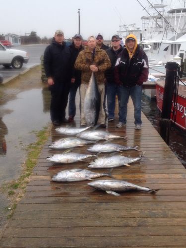 TW’s Bait & Tackle, TW's Daily Fishing Report- 03/16/2015- TUNAS!
