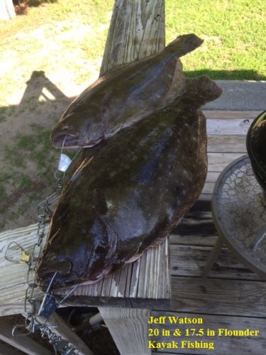 TW’s Bait & Tackle, TW's Daily Fishing Report. 7/18/15