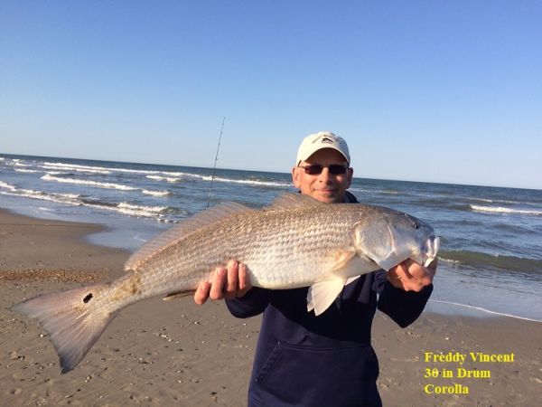 TW’s Bait & Tackle, TW's Daily Fishing Report. 5/24/15