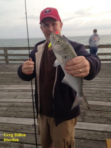 TW’s Bait & Tackle, TW's Daily Fishing Report. 5/27/15