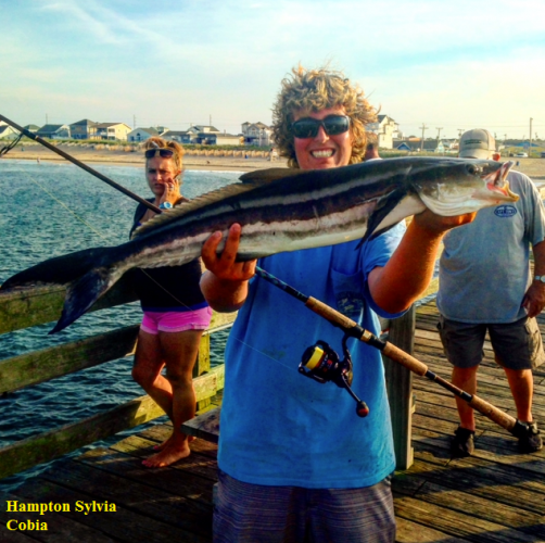 TW’s Bait & Tackle, TW's Daily Fishing Report. 7/15/15