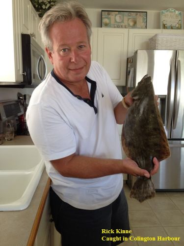 TW’s Bait & Tackle, TW's Daily Fishing Report. 8/14/15