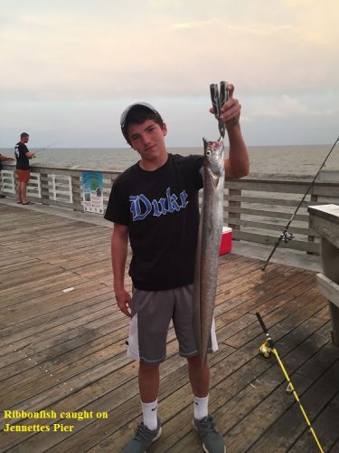 TW’s Bait & Tackle, TW's Daily Fishing Report. 8/27/15