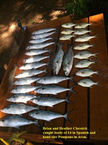 TW’s Bait & Tackle, TW's Daily fishing Report. 9/6/15