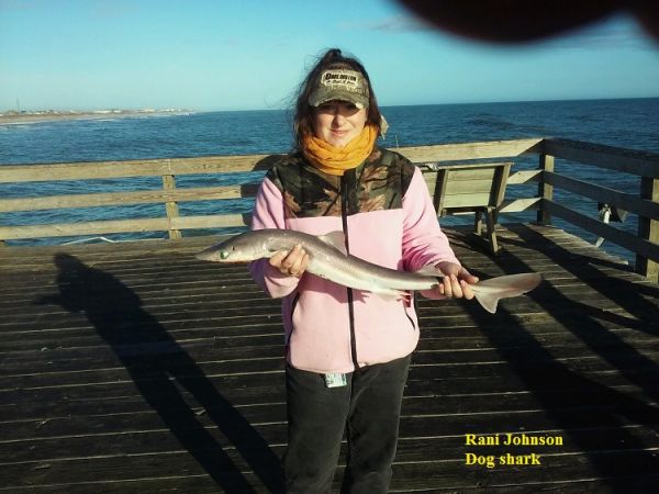 TW’s Bait & Tackle, TW's Daily Fishign Report. 11/28/15