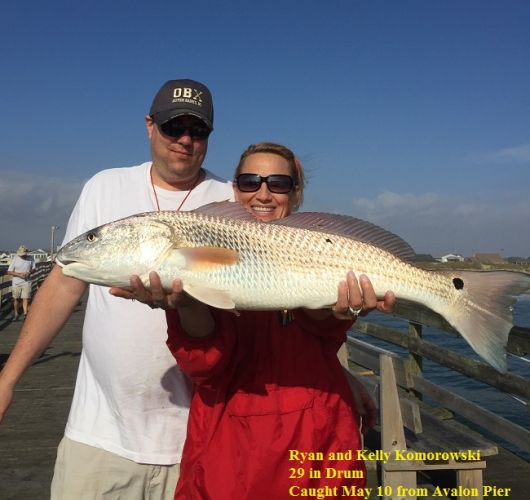 TW’s Bait & Tackle, TW's Daily Fishing Report. 5/21/15