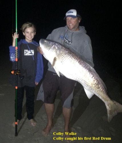 TW’s Bait & Tackle, TW's Daily Fishing Report. 11/12/15