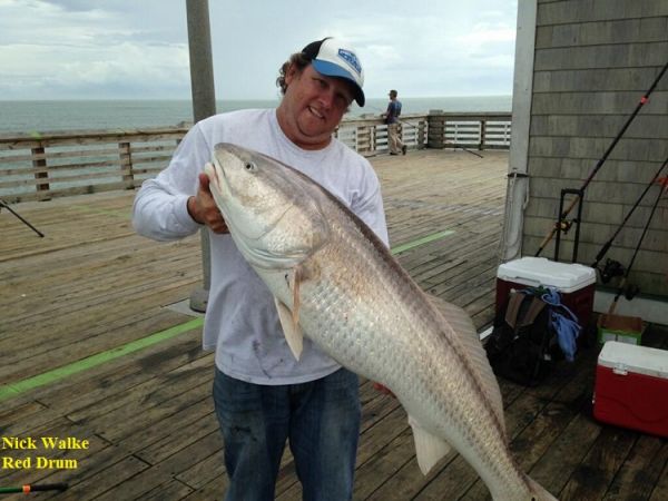 TW’s Bait & Tackle, TW's Daily Fishing Report. 11/13/15