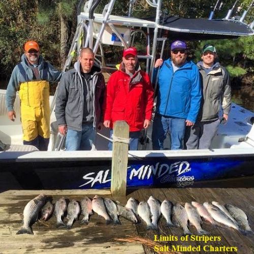 TW’s Bait & Tackle, TW's Daily Fishing Report. 11/25/15