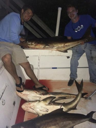 TW’s Bait & Tackle, TW's Daily Fishing Report. 6/14/15