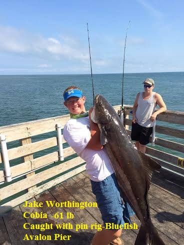 TW’s Bait & Tackle, TW's Daily Fishing Report. 9/22/15