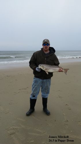 TW’s Bait & Tackle, TW's Daily fishing Report. 2/29/15