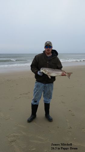 TW’s Bait & Tackle, TW's Daily fishing Report. 2/29/15