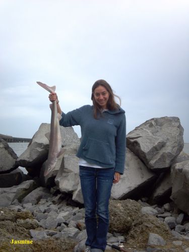 TW’s Bait & Tackle, TW's Daily Fishing Report. 12/25/14