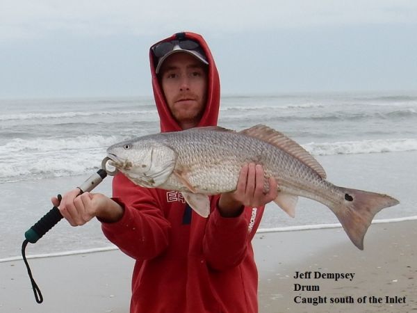 TW’s Bait & Tackle, Tw's Daily fishing Report