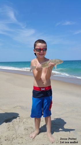 TW’s Bait & Tackle, TW's Daily fishing Report. 6/28/15