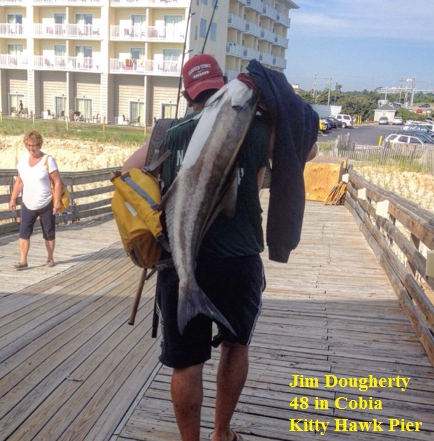 TW’s Bait & Tackle, TW's Daily Fishing Report. 6/17/15