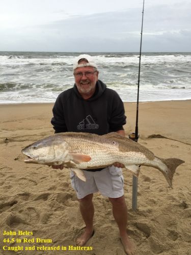 TW’s Bait & Tackle, TW's Daily Fishing Report. 10/28/15