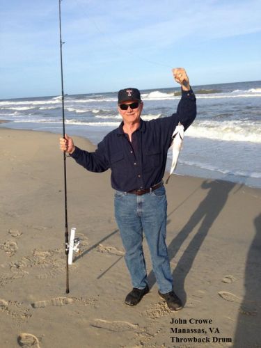 TW’s Bait & Tackle, TW's Daily fishing Report. 11/20/15
