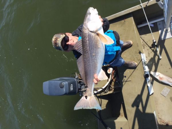 TW’s Bait & Tackle, TW's Daily Fishing Report- 03/28/2015