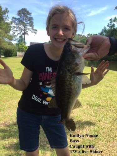 TW’s Bait & Tackle, TW's Daily Fishing Report. 5/17/15
