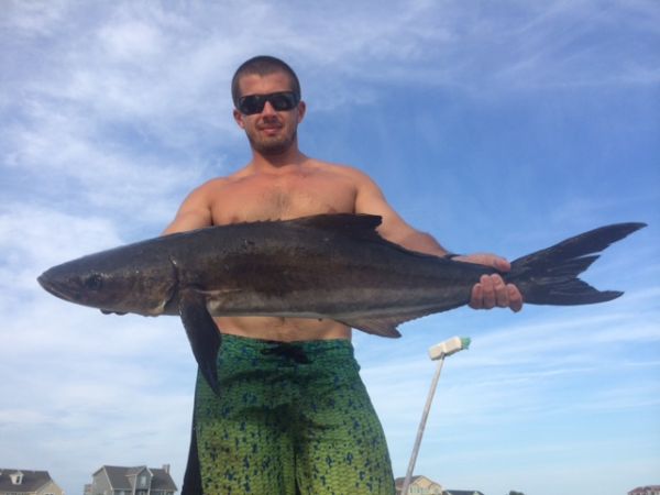 TW’s Bait & Tackle, TW's Daily Fishing Report- 03/14/2015