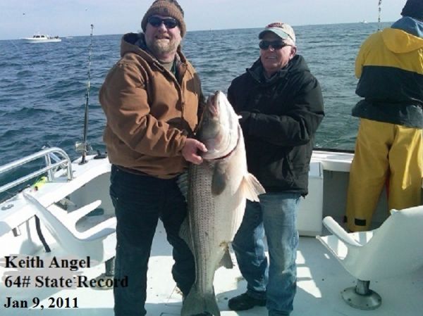 TW’s Bait & Tackle, TW's Daily Fishing Report. 1/2/115